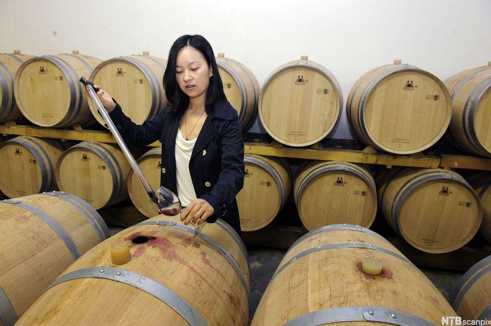 bilde av En ansatt tar vin ut av en tønne i lageret til Chateau Laulan-Ducos i Médoc