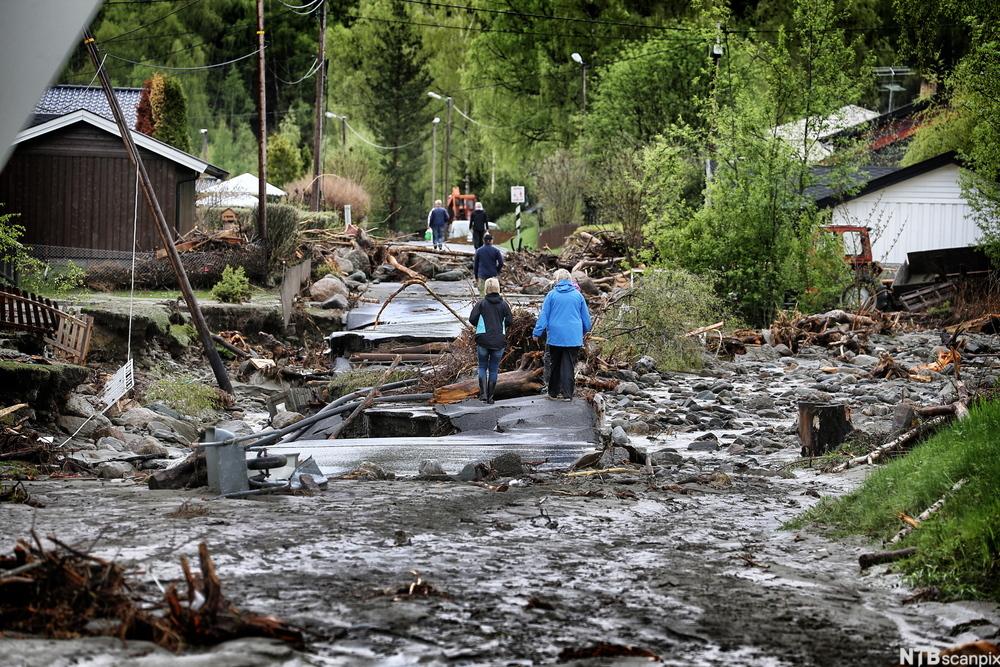Gjørme, trær og materialer ligger spredt i et norsk boligfelt etter en flom. Folk prøver å ta seg fram på en ødelagt vei. Foto.