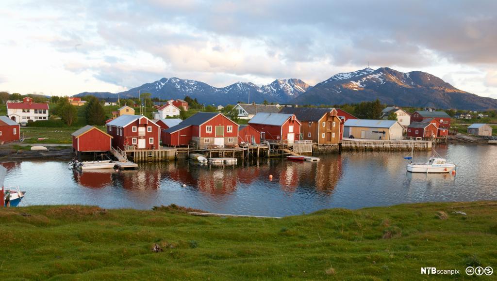 Havn med båthavn og sjøhus. Vega.Helgeland. Foto.