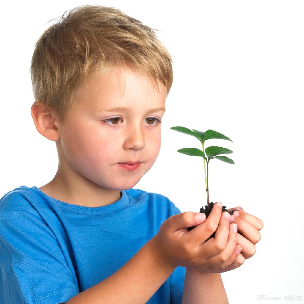 Gutt holder jord og plante i hendene. Foto.