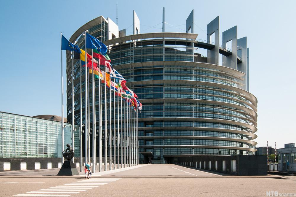 Photo: The European Parliament building. We see a cylindrical building. There are EU flags and member nation flags in two rows in front of the building. 