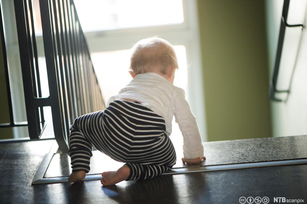 Baby på vei ned en trapp. Foto.