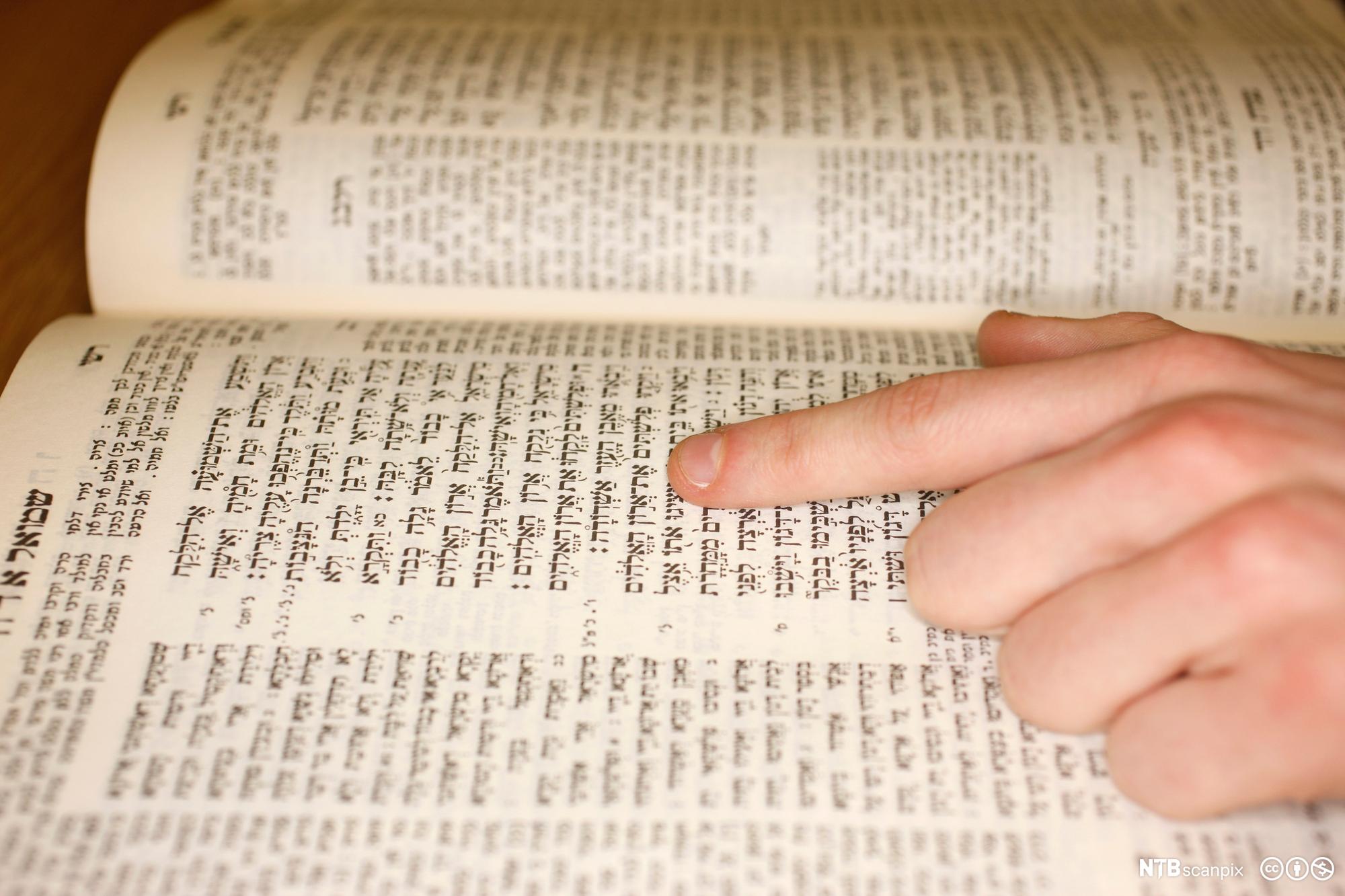 De Hellige Skriftene I Jødedommen