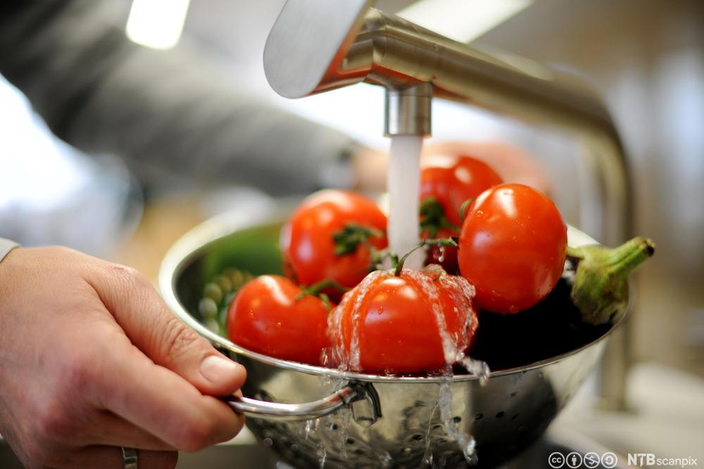 Tomater som blir vasket under rennende vann. Foto.
