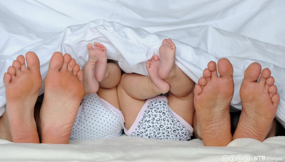 Familie ligger i senga og bare føttene stikker fram fra dynekanten. Voksne føtter på hver side og to par babyføtter i midten. Foto.