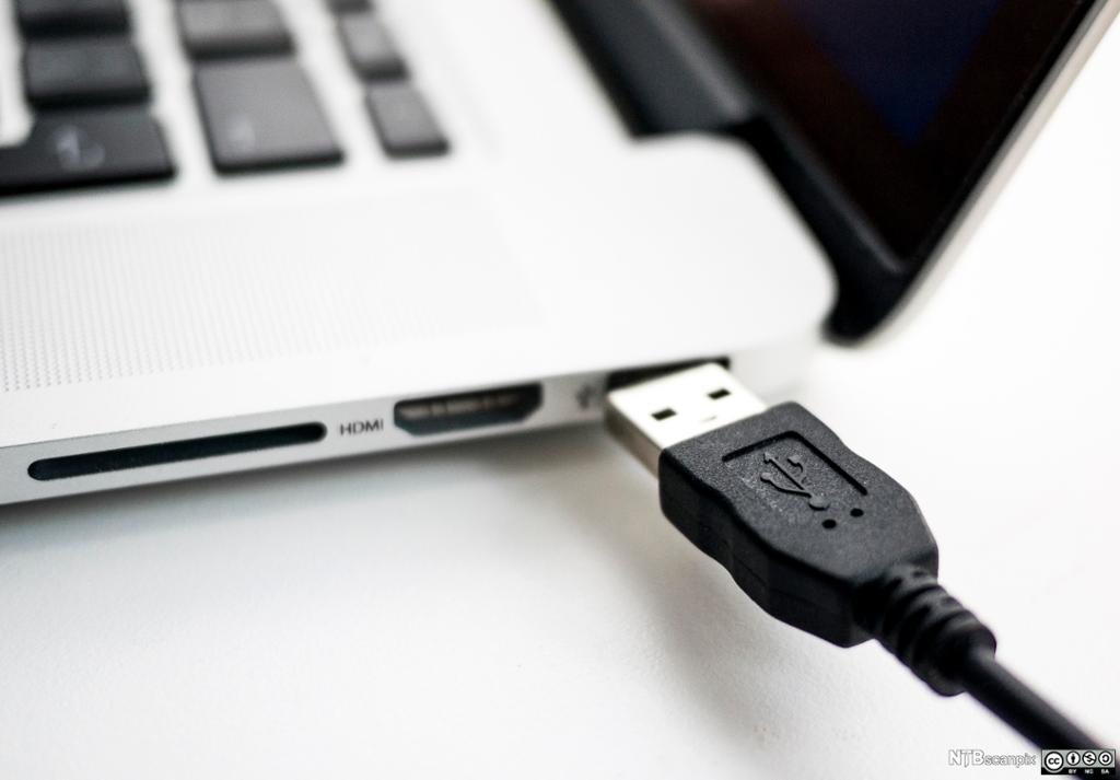 USB-kabel ved bærbar PC. Foto.