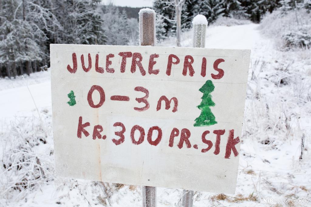 Salgsplakat for juletrær. Foto.