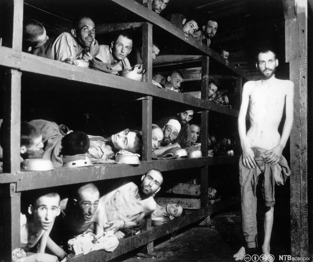 Fanger i en av brakkene i konsentrasjonsleiren BUchenwald like etter at amerikanske tropper gikk inn i leiren, april 1945. Foto.