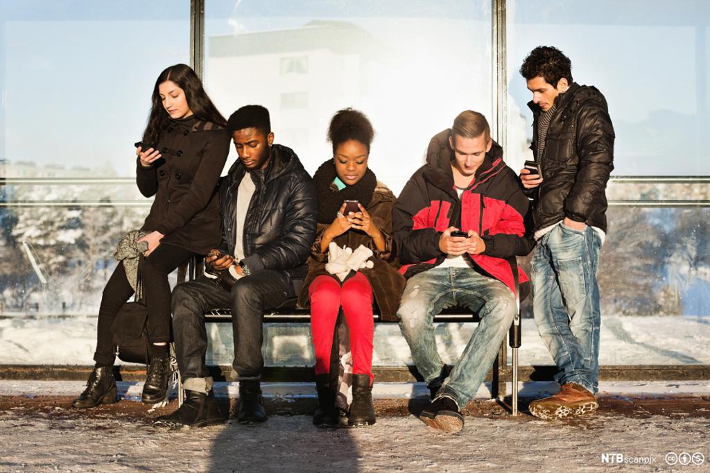 Fem venner er samla ved en benk utendørs i vintersola. Alle kikker ned på mobilskjermen sin. Foto.