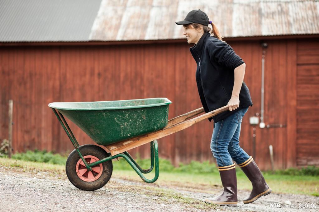 Et fotografi av en kvinnelig bonde som triller en trillebår.