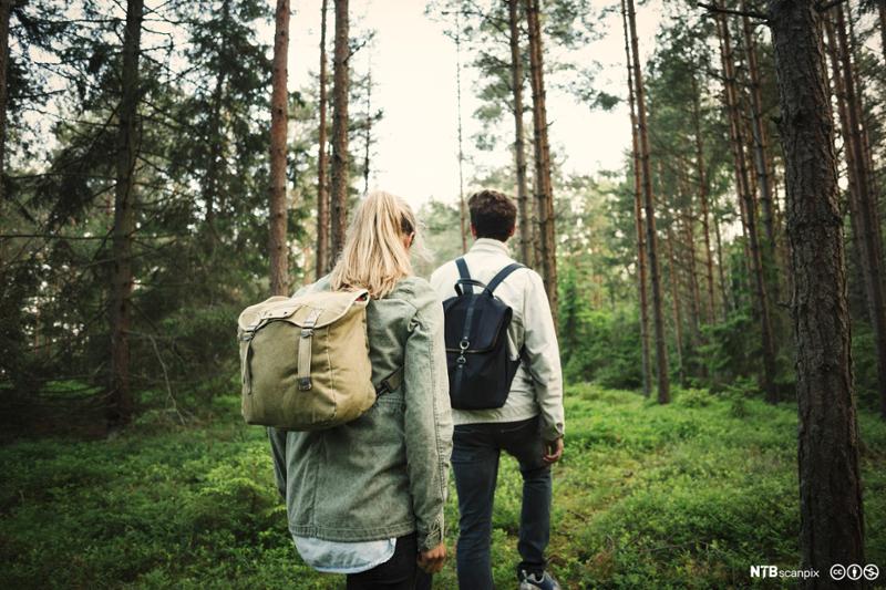 Kvinne og mann med ryggsekker går tur på sti i skogen. Foto.
