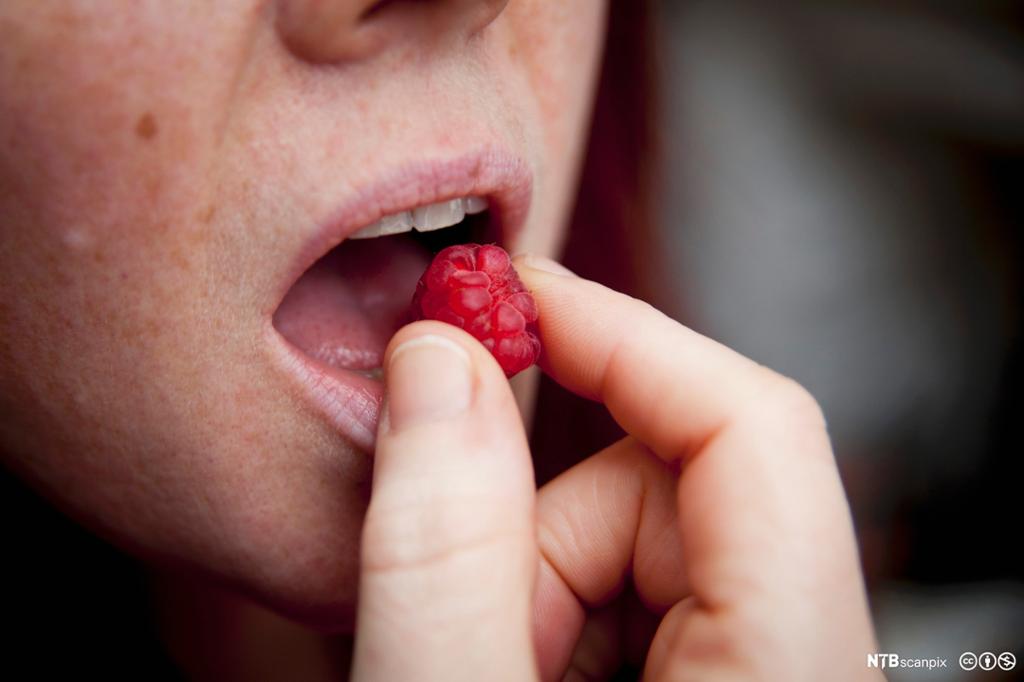 Kvinne putter bringebær i munnen. Foto
