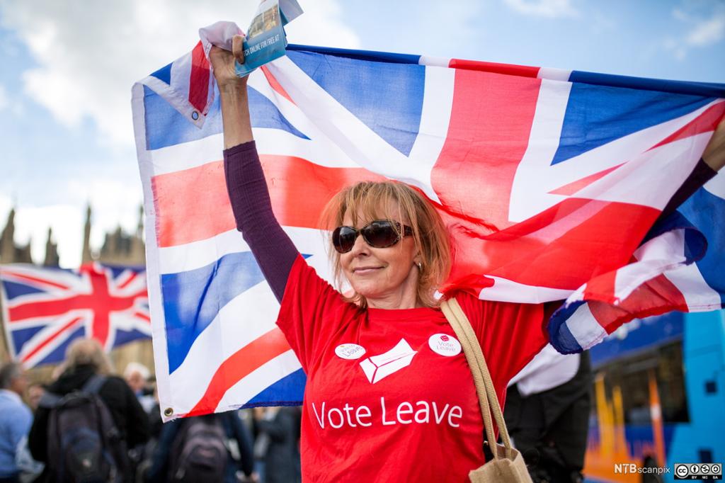 Demonstrators on Westminster Bridge support the pro-Brexit campaign, June 15, 2016 - London, UK.