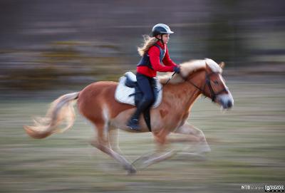 Jente som rir på en hest. Foto.