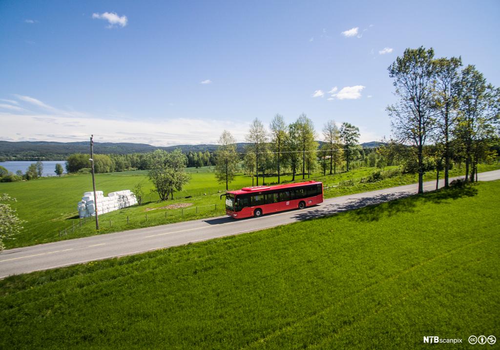 Rød buss kjører gjennom landskap med grønne marker og trær. Foto.