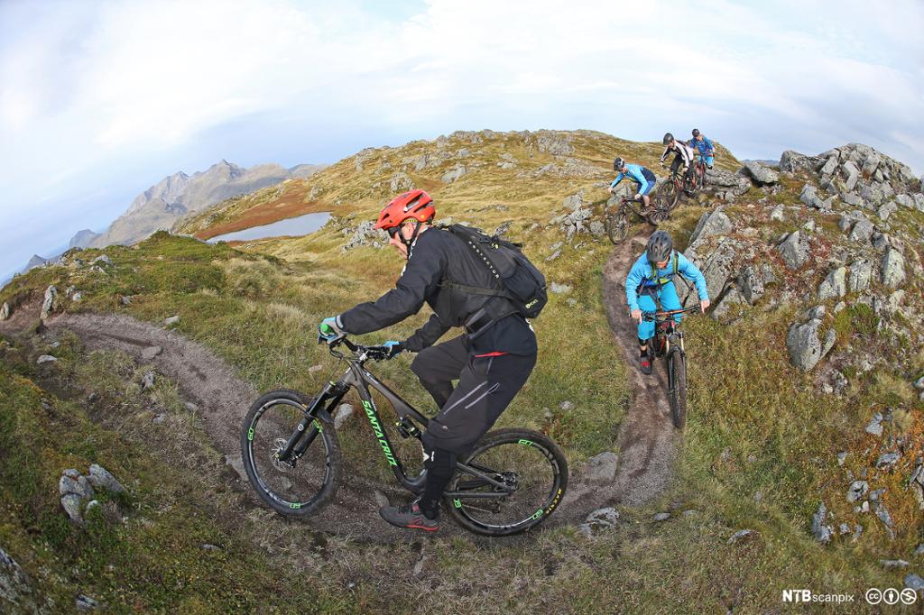 En gruppe på sykkeltur i fjellet. Foto.