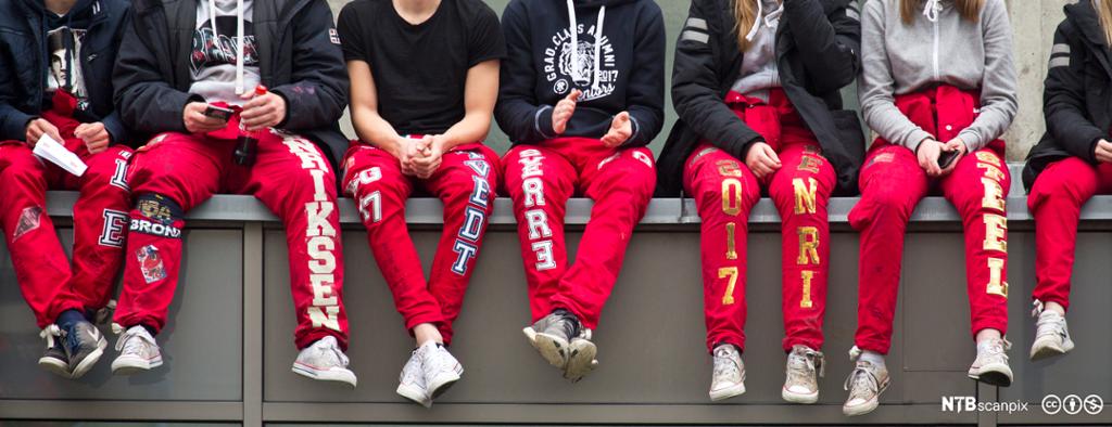 Sju rødruss sitter på en benk. De har på seg røde russebukser, joggesko og ellers vanlige klær. Ansiktene deres vises ikke på bildet. Foto.