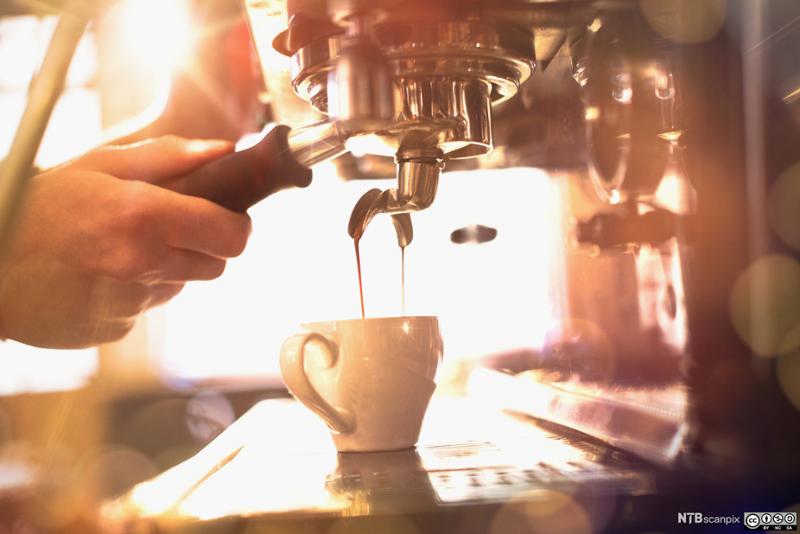 Espresso renner ut av en kaffemaskin. Foto.