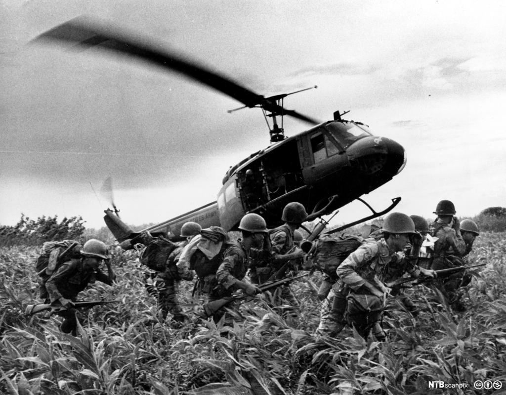 Soldater er ute i en åker med høye planter. De har kamuflasjeklær, hjelmer, ryggsekker og geværer. Et helikopter er i ferd med å lande ved siden av dem. Svart-hvitt foto.
