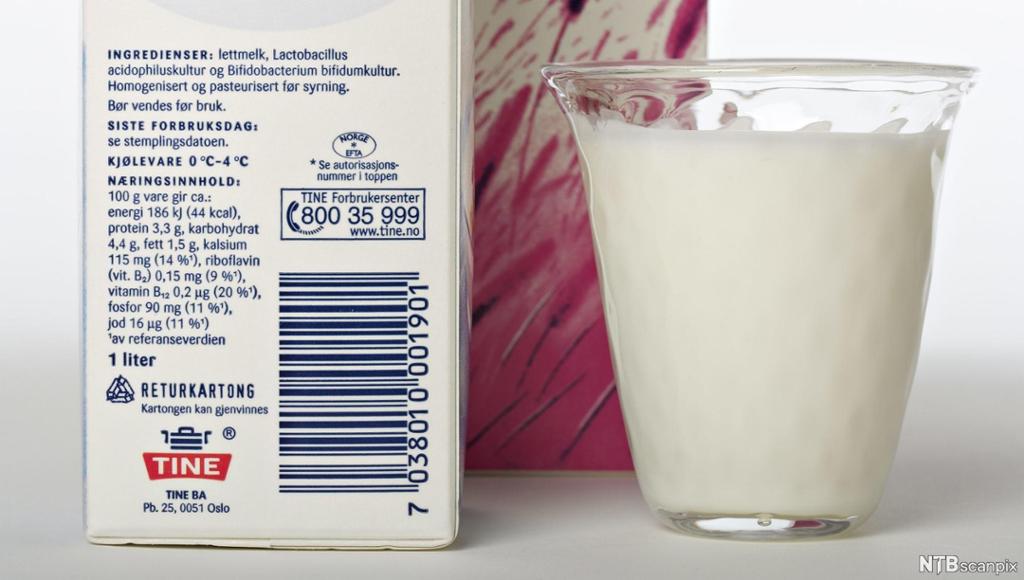 Nærbilde av et glass med melk ved siden av to melkekartonger. Foto.