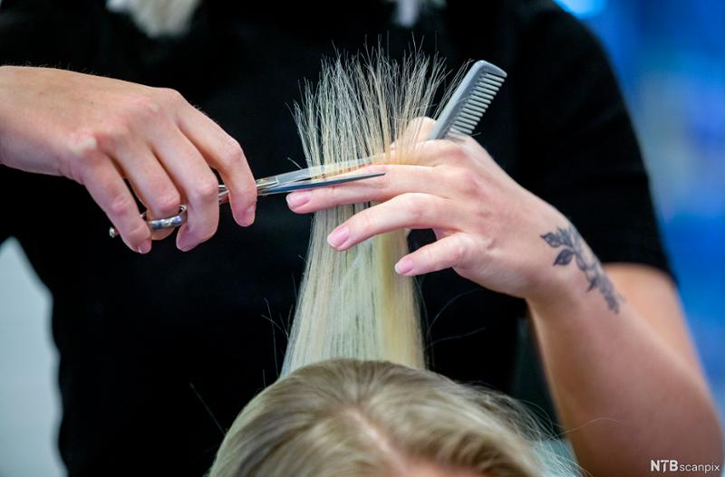 En kvinne får klippet håret hos frisøren. Foto.