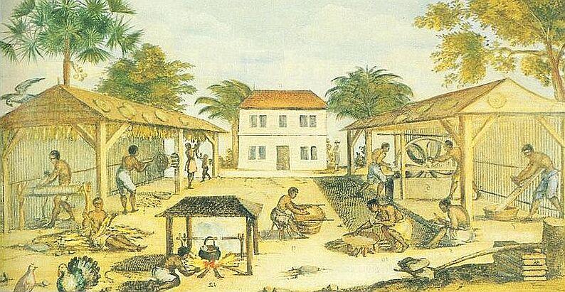 Afrikanske slaver arbeider på en tobakksplantasje. Maleri.
