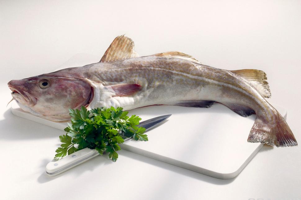 En hel fersk torsk ligger på et skjærebrett, med en persillekvast og en kniv ved siden av. Foto.