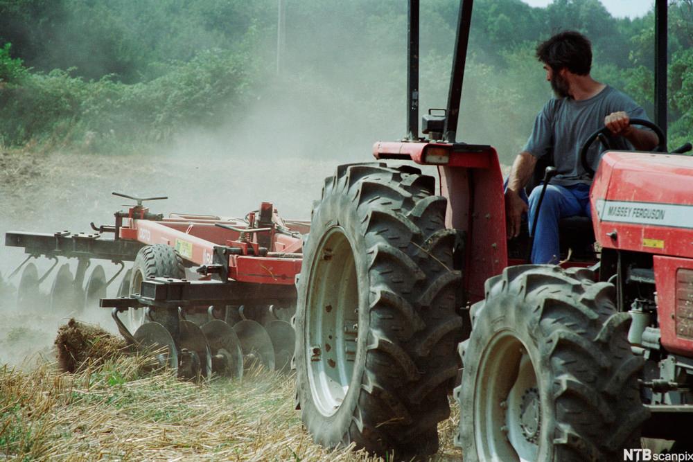 Tractor Working the Land. Photo.