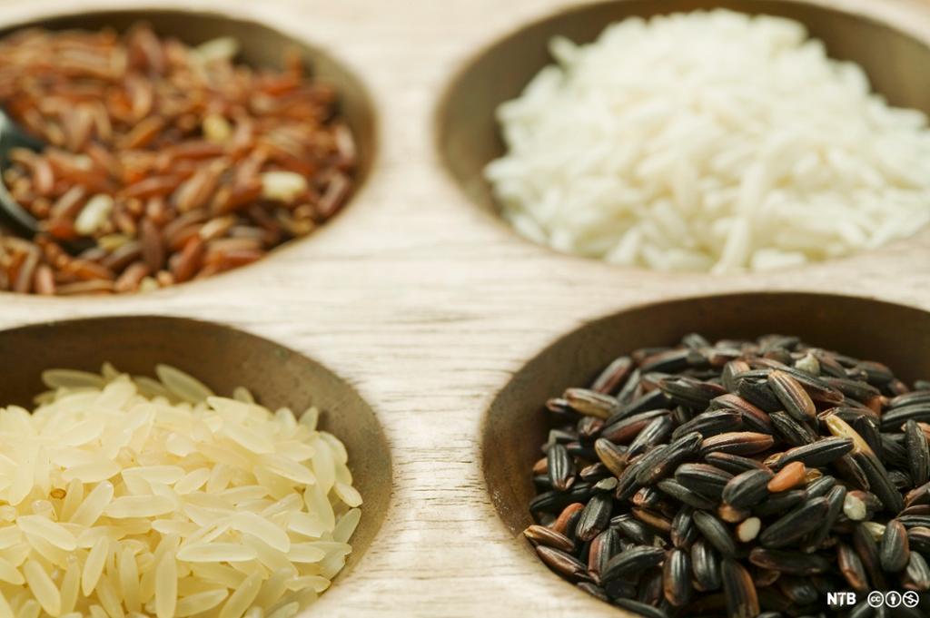 Fire forskjellige typer ris. Foto.