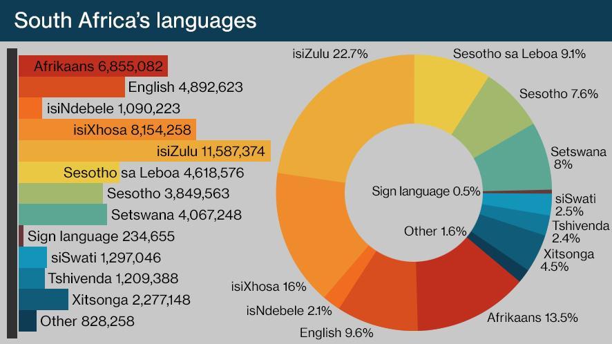 A graph showing the different languages and the number of speakers in South Africa