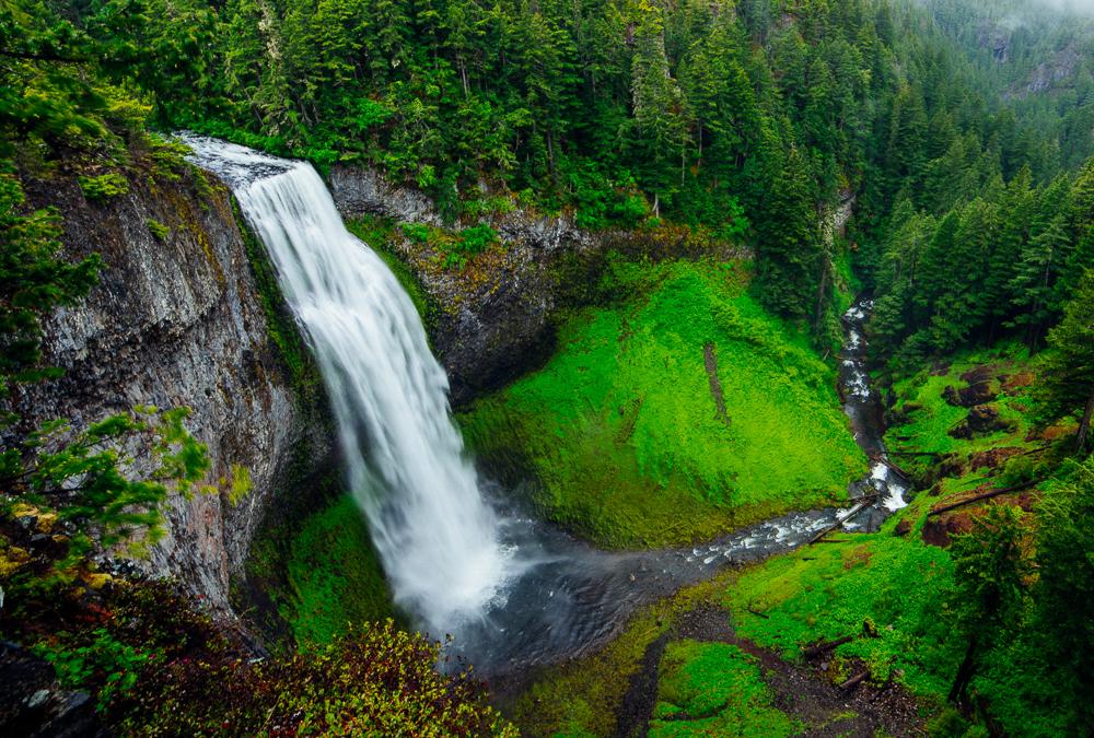 Foss som stuper utfor skrent i gønt skoglandskap. Fotografi.