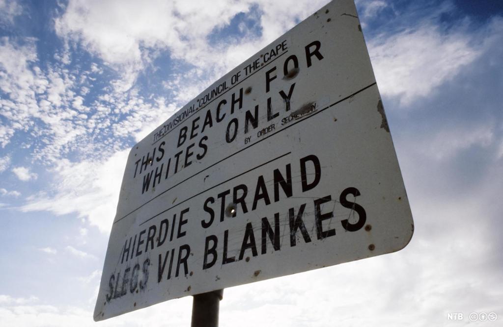 Et skilt fra Sør-Afrika under apartheidtida hvor det står «This beach for whites only». Foto. 