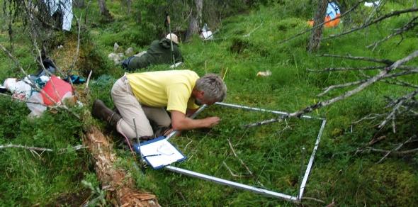 En mann registrerer planter som vokser innenfor en rute på én kvadratmeter. Foto.