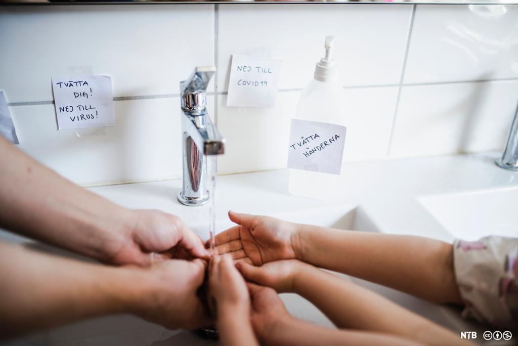 Barn og voksne vasker hendene sine. Foto.