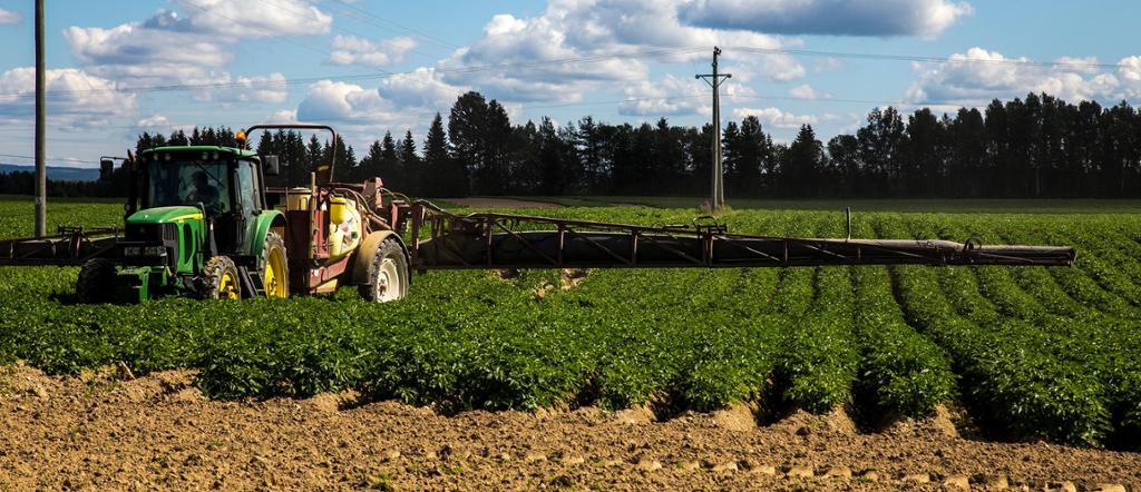 Traktor med sprøyteutstyr sveiper over grøne planter på ein åker. Foto.