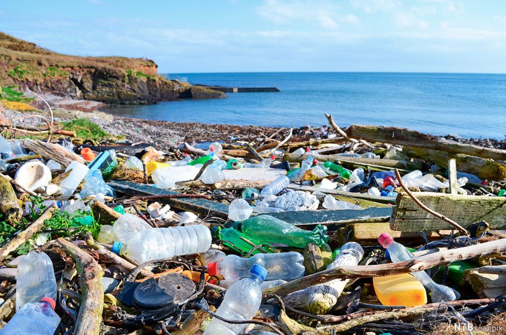 Plastflasker og anna søppel ligg strøydd utover på ei strand. Foto.