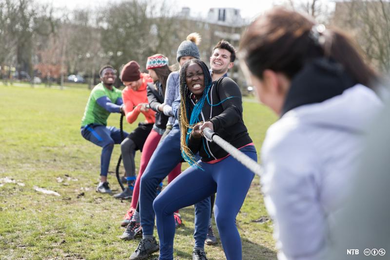 Ungdommer som trekker tau ute i en park. En kamp for å være sterkest. Foto.  