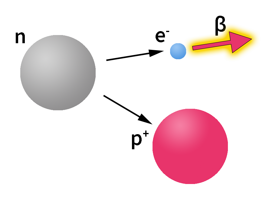 Nøytronet splittes til et positivt proton og et negativt elektron. Elektronet skytes ut i stor fart som betastråling. Illustrasjon.