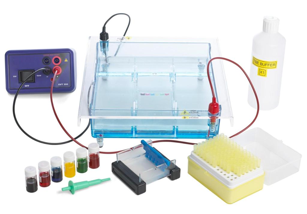 Nødvendig utstyr for tillaging av ein DNA-profil ved hjelp av gel-elektroforese. Foto.