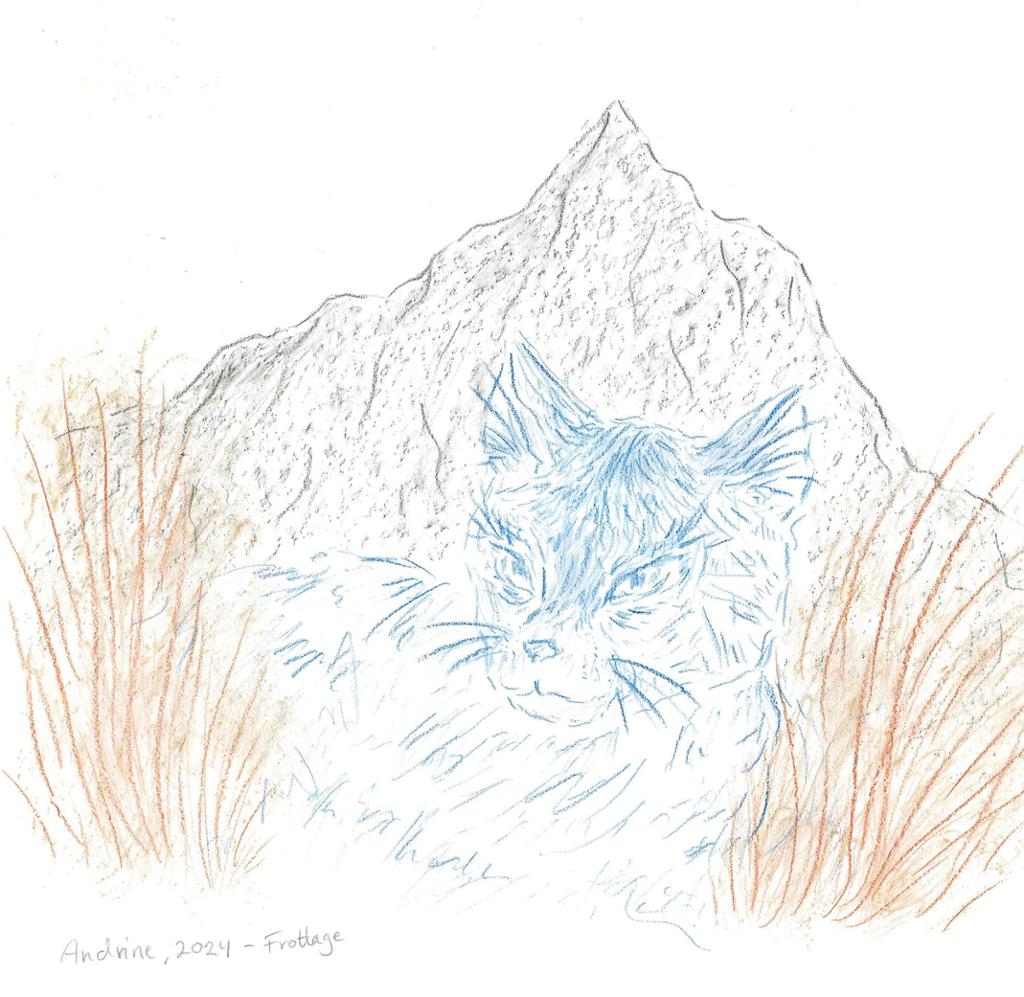 En katt ligger i gresset med et fjell i bakgrunnen. Fjellformasjonen er fylt med visuell tekstur. Illustrasjon.