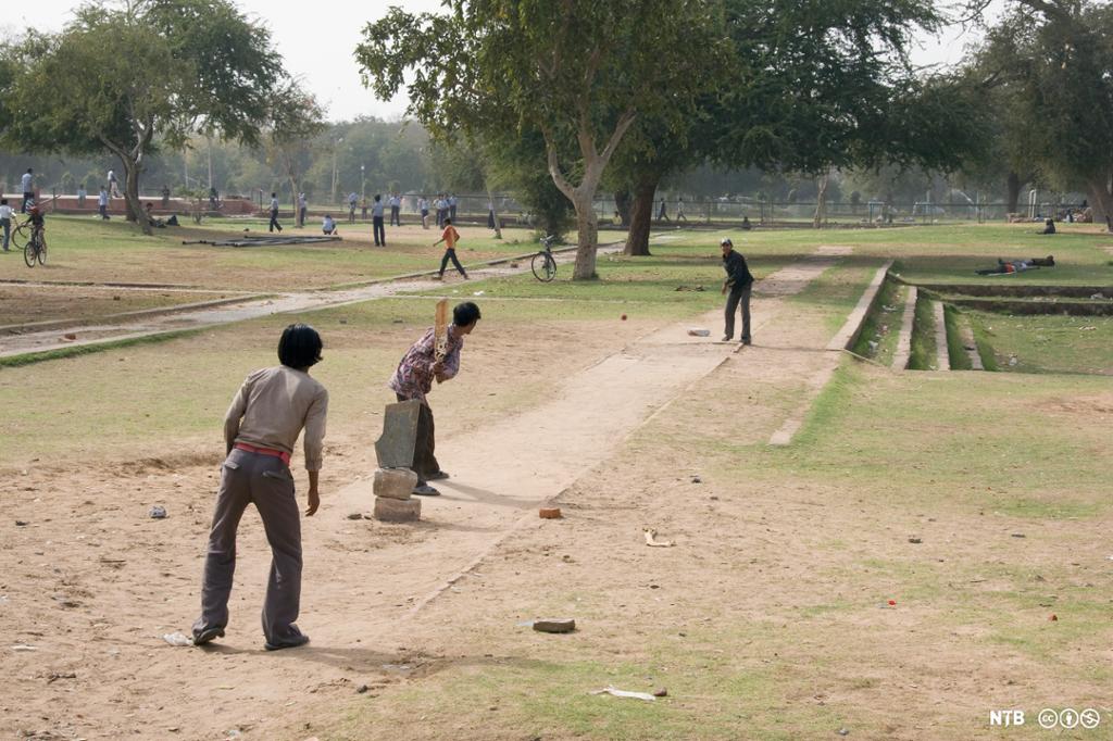 Indiske gutter spiller cricket. Foto.