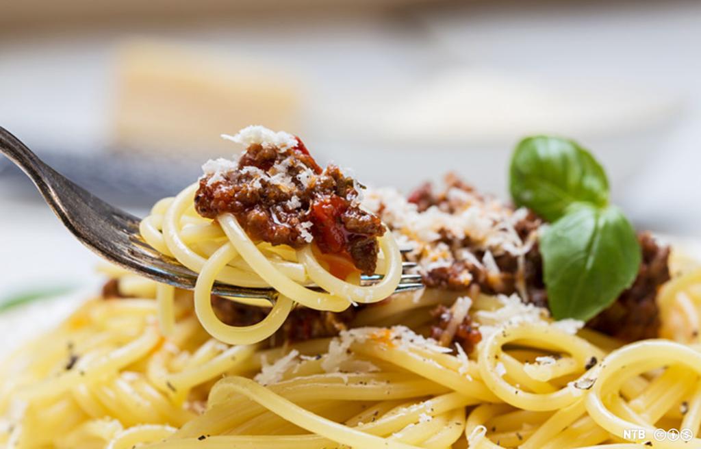 Ein gaffel blir stukken ned i kokt spagetti med kjøtsaus og fersk basilikum. Foto.
